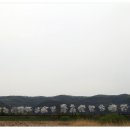 초월성당 사진동아리 야외 첫 출사(경안천습지생태공원) 이미지