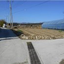 보절면 사촌마을 이미지