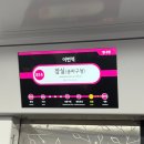 수서-101 | 서울 🏙 호캉스 | 시그니엘 체크인, 101층 프리미어 더블룸 룸 후기 ( 리버뷰, 욕실뷰 업그레이드 )