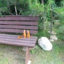 가평e펜션 이미지