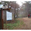 팔봉산 주차장 이미지