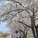 홈플러스(주)광주하남점 | [하남 카페] 하남 디저트 카페 버터떡 맛집 :) 앙민이네 빵집