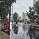 일품장원돼지국밥 | 서면 24시 노포 맛집 일품 장원 돼지국밥
