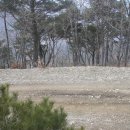 2007-주011 Daum카페