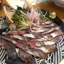 그린파치