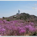 비슬산 이미지