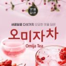 담은에프에스 이미지