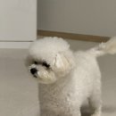 씽씽쏭쏭 이미지