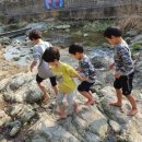 HJ글램핑&쌤초이글램핑 이미지