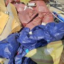 의성수지 이미지