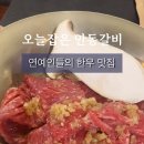 오늘잡은 안동갈비 이미지