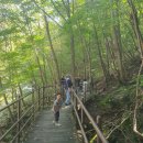 소로 브레드 이미지