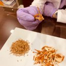 황지모한의원 이미지