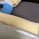 편안한 숙면을 위한 선택, 코앤코 경추베개 사용 후기
