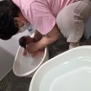 (주)현주케어 | 부산 영도구 연제구 산후도우미, 분유수유부터 집안일까지 든든했던 후기!