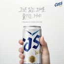 카스 이미지