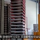 에코앤디 이미지