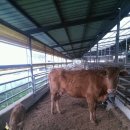 와우한우농장 이미지