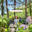 경기도 수국축제 가평 아침고요수목원 주차, 입장료, 추천코스