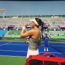 WTA 500 / 2025 코리아 오픈 "8강, 16강 진출" 이미지