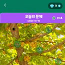 정답은꽃 이미지