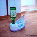주당 이미지