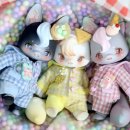 I DOLL 이미지