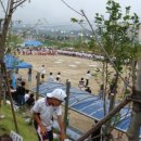 반곡초교로 이미지