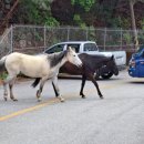 활보농장 이미지