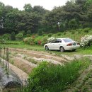 해룡농장 이미지