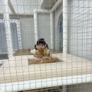 서초중앙로12길 35 | [키즈룸대관] 반포&amp;서초 유일무이 드로잉룸, 옐드 키즈룸 💛