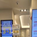 아프리카센타 | 대전 동물 병원 아프리카 동물 메디컬 센터 내돈내산 후기