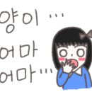 스너그샌드