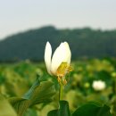 대곡마을 이미지