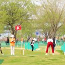 파크골프오후 이미지