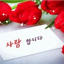 5월 8일 목요일 간추린 뉴스와 날씨 이미지