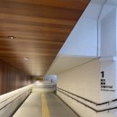 키친몬 | 빵’ 헛걸음한 썰, 텐진 치킨난반 맛집 ‘타카치호 키친’, 체인소맨 액션피규어 구매 ‘만다라케’ 1...