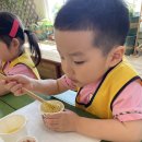 킹콩이농장 이미지