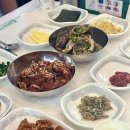 여수 순천 1박 2일 여행 코스 추천 순이네밥상 여수딸기모찌 오동도 순천만국가정원