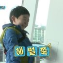 린비또