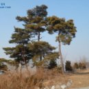 여주-1046 이미지