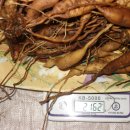 서해판매 이미지