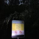 켄버라모텔 | Ep10. 바이런 베이, 코프스 하버 - 호주 로드트립 일지 10화(2020.02.19)