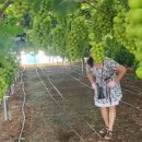 현경농장 이미지