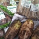 농민건강원 이미지