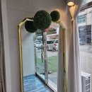 달콘스콘.D 이미지