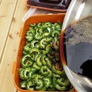 땅끝농장 이미지