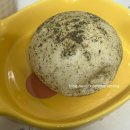 삼환빌딩 | 계산역 투썸 옆 소금빵 트럭 후기