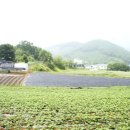 하임농장 이미지