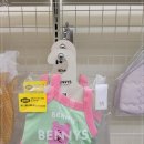 강아지용품할인매장 네이버블로그